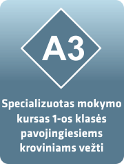 ADR testai 3 kategorija